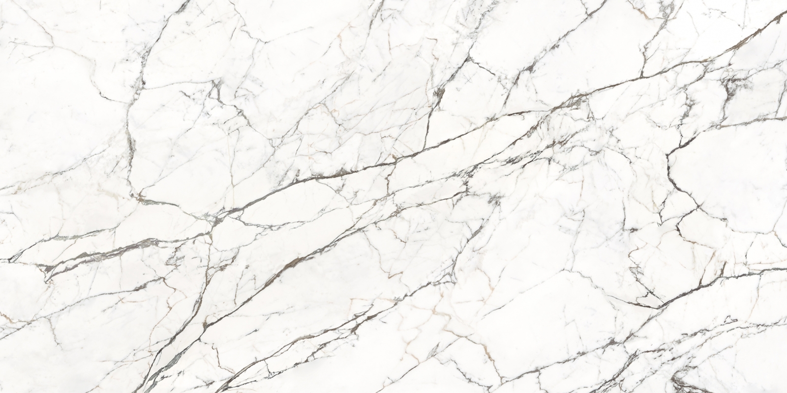 STATUARIO FANTASTICO